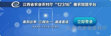 短信平台排名_查看容量排名