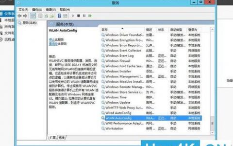 如何选择最佳的软件工具来安装服务器系统驱动？
