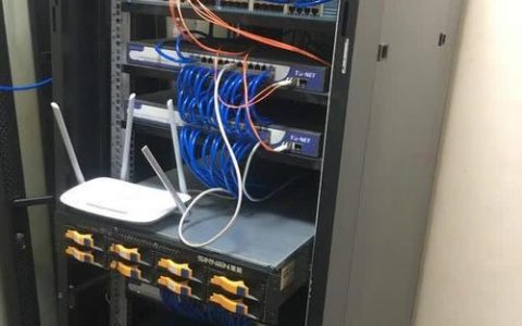 服务器能否替代传统电脑进行日常任务？