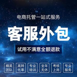 方向专业网站制作咨询_客户服务包