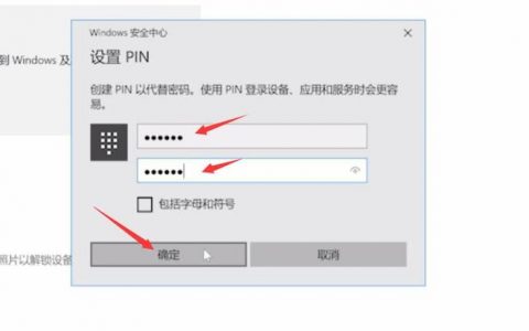 输入pin百度服务器这一操作意味着什么？