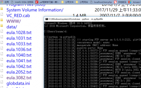 如何利用Python实现FTP服务器功能？
