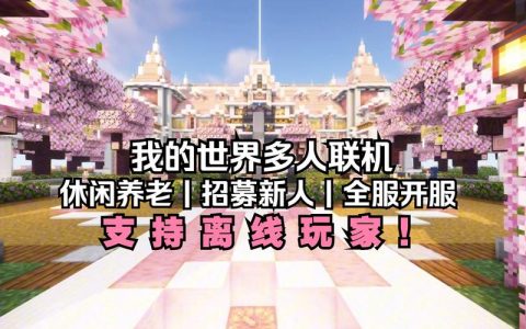 拖拖在我的世界中体验了哪个服务器？