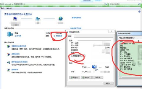 如何确定已建立的FTP服务器的IP地址？