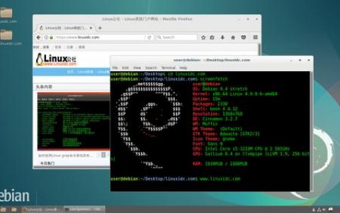 Debian 云服务器版本，它与其他版本有何不同？
