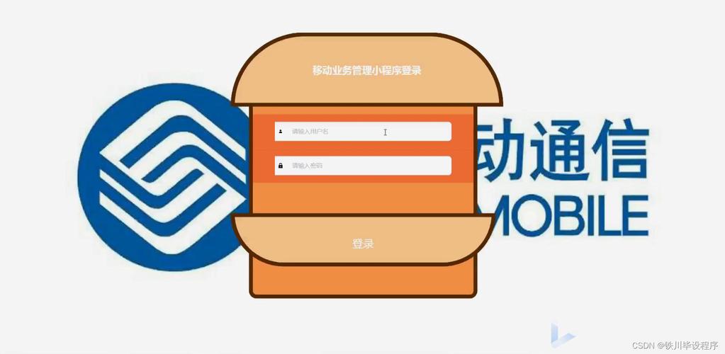 开服务器一般用什么编程软件