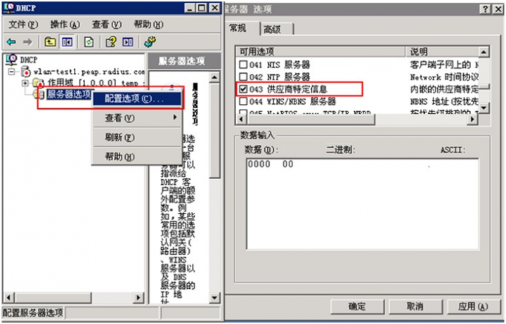 DHCP服务器如何配置option43_配置Fit AP注册上线