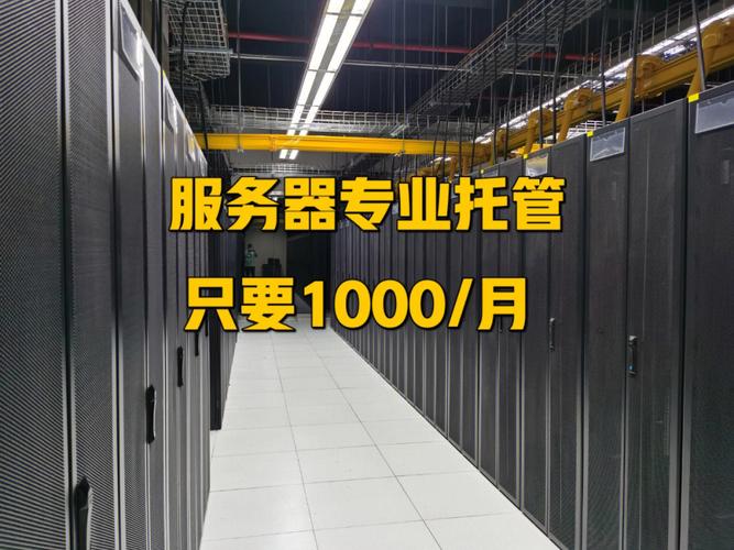服务器维护托管_应用托管
