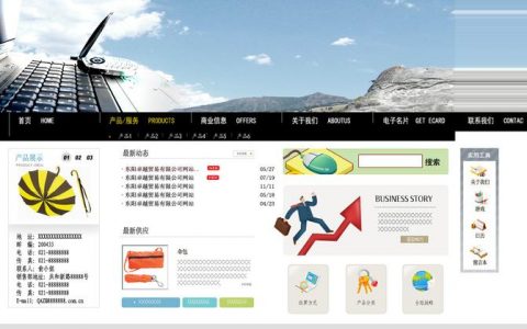 如何优化Flash网站首页以提升用户体验？