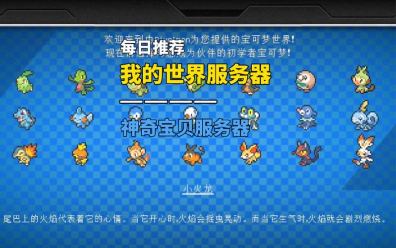 宝可梦服务器练什么比较好