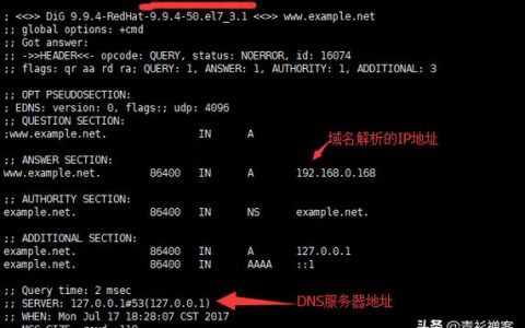 域名解析过程中，是什么类型的服务器扮演了关键角色？