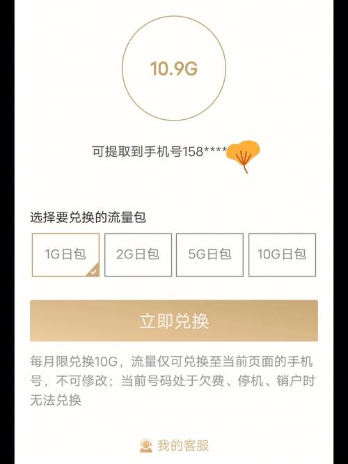 服务器 1g的够用么_流量不够用,可以退单吗?或者怎么解决?