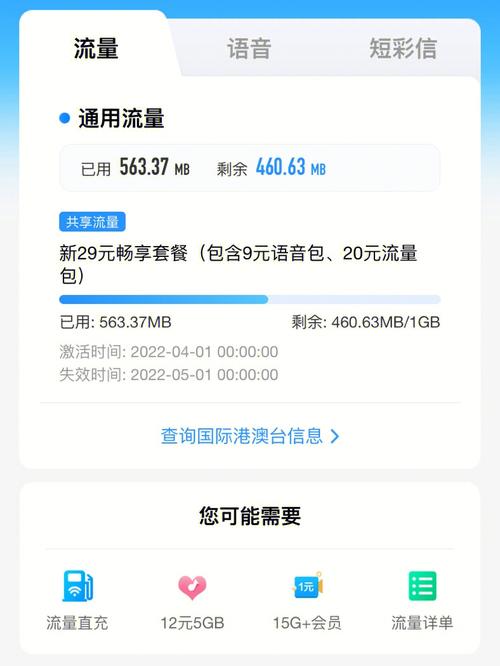 服务器 1g的够用么_流量不够用,可以退单吗?或者怎么解决?