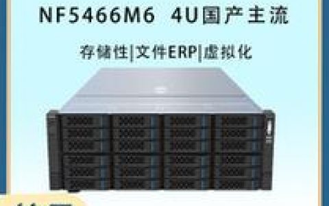 浪潮服务器零售商的角色与重要性是什么？