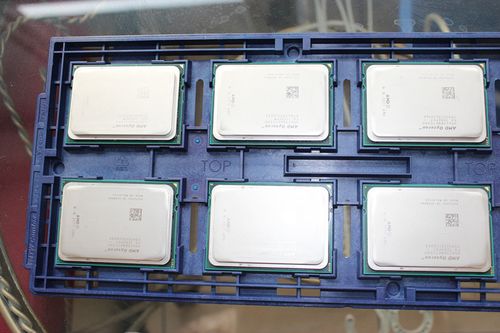 服务器cpu 4颗12c_Host CPU