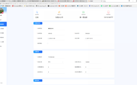 如何优化单页面应用中的CDN以提升分享表单页面的加载速度和性能？