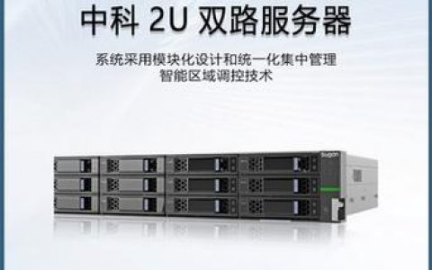 如何建立服务器与主机的稳定连接并确保持续支持？