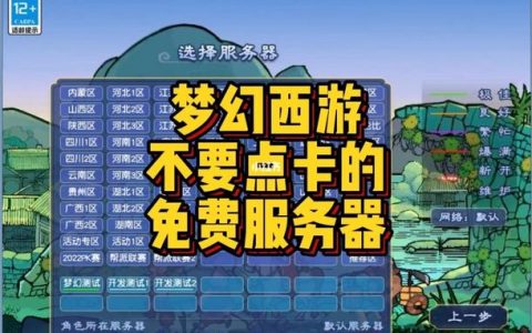 哪个服务器提供梦幻游戏无需点卡服务？