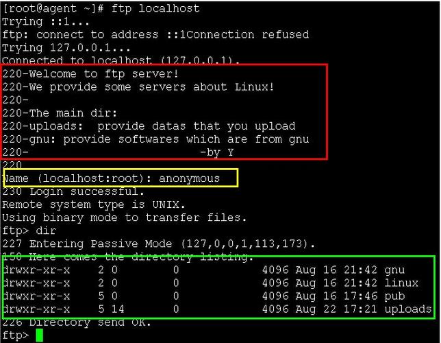 ftp服务器的配置匿名_快速构建FTP站点(Linux)
