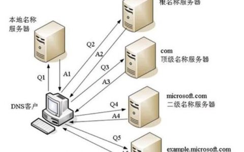 DNS服务器与电脑版在功能上存在哪些关键差异？