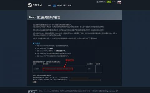 Steam独立游戏联机是如何实现的，服务器技术解析？