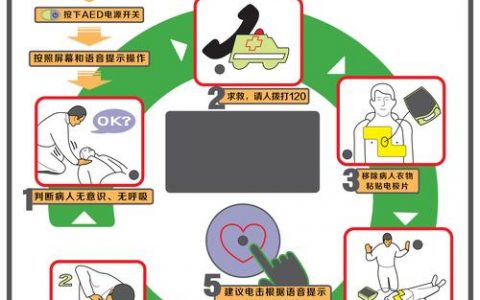 如何轻松掌握EpiData的使用方法？