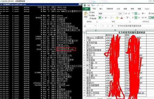 单服务器网游_查询单台服务器漏洞信息