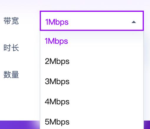 服务器带宽2m_WeLink会议需要多大的带宽？