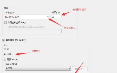 如何有效使用FTP服务器软件进行文件传输？