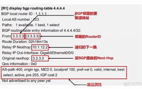 服务器BGP租用价格差异，静态BGP、全动态BGP与优选BGP有何特性？