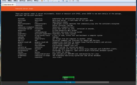 如何成功在服务器上安装Linux操作系统？