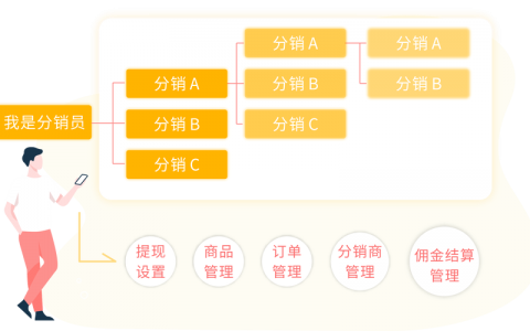如何成功搭建并执行一个服务器虚拟主机的分销计划？