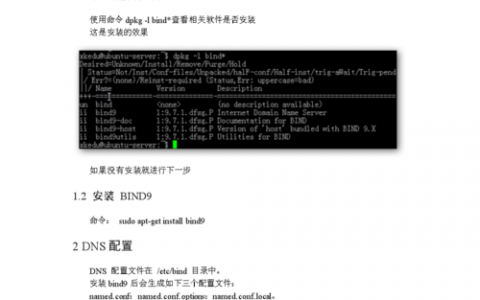 如何进行Ubuntu服务器的高效配置？