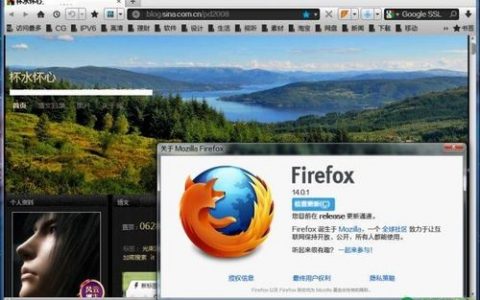 如何有效配置Firefox浏览器以优化性能和用户体验？