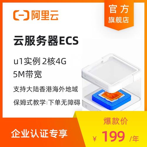 云服务器ecs什么情况下使用