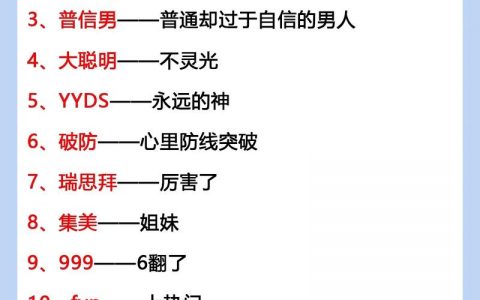 服务器十大流行技术，网络流行语如何影响IT领域？