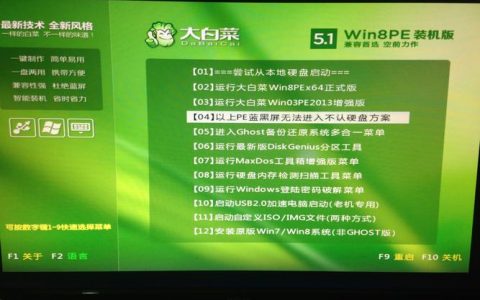 如何正确安装大白菜硬盘驱动？