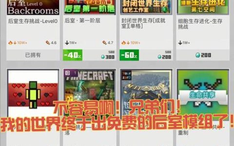 网易我的世界服务器卡顿原因探究，究竟为何如此不流畅？