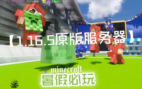 我的世界中的破旧服务器究竟有何价值？