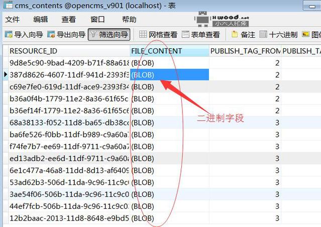 mysql 大文本_文本