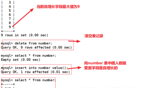 如何有效利用MySQL参考手册进行数据库操作？