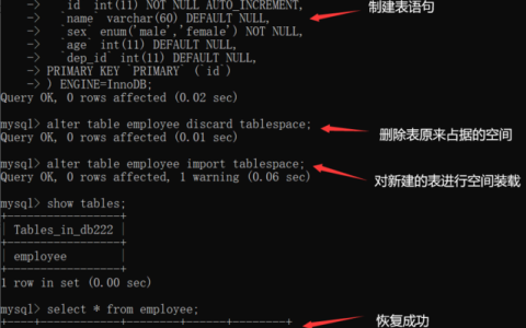 如何从MySQL中导出并查看特定表的创建语句？