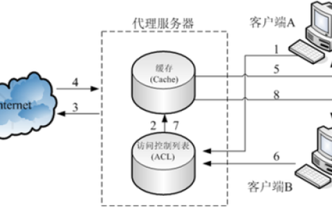 代理服务器通常与哪些技术或服务结合使用？