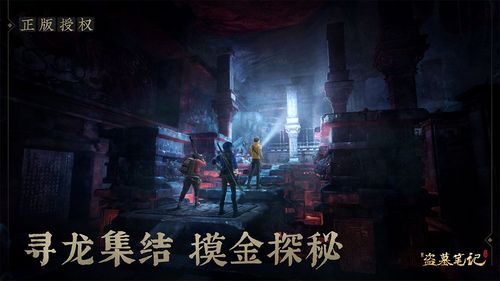 新盗墓笔记什么时候开服务器的
