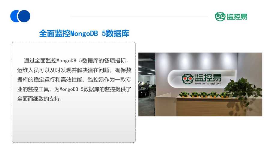 mongodb显示数据库名_修改显示名