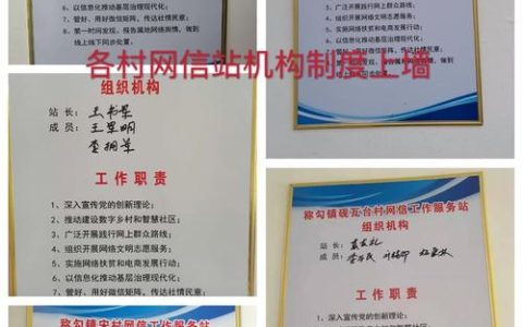 孟村网站在制度建设方面采取了哪些创新措施？