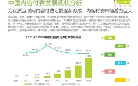 如何有效进行付费网站数据分析以优化知识付费服务？