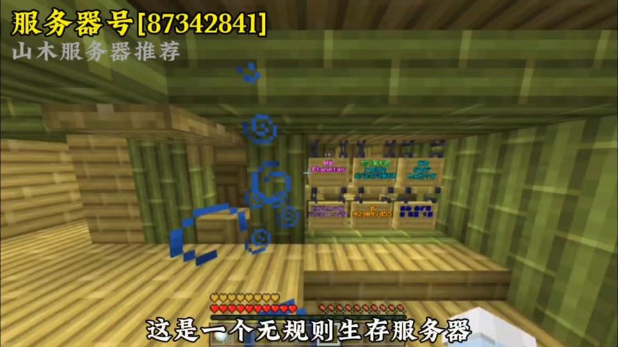在服务器里生存的游戏叫什么