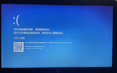 电脑蓝屏时，错误信息的截图默认存储在哪个文件夹？