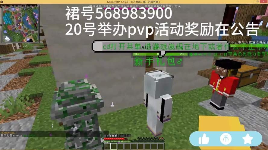 进入海贼王服务器需要什么